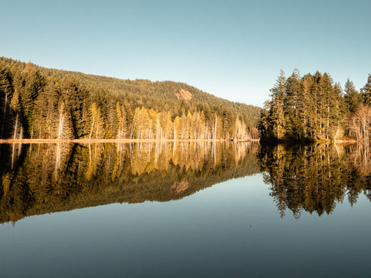 Trout Lake Reflection